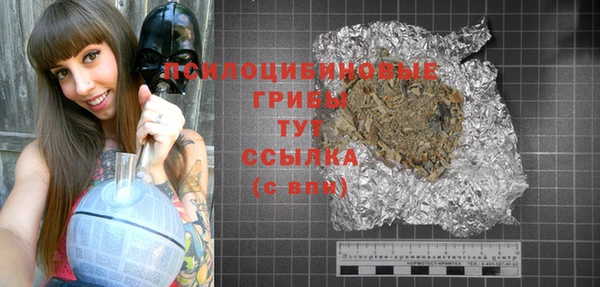 2c-b Алзамай