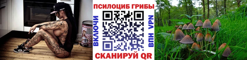 Галлюциногенные грибы Magic Shrooms  Катав-Ивановск 